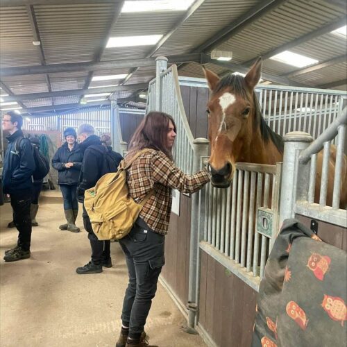 Bransby Horses 🐎

Our Animal, Equine and Health